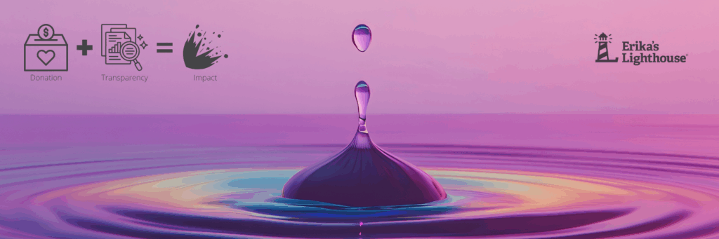 Donation + Transparency = Impact